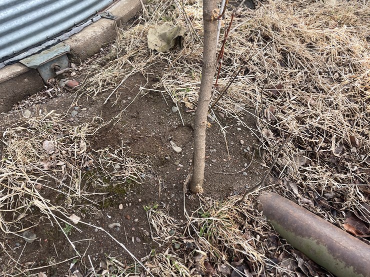 #104-•-stormor-grain-bin-(scandia,-mn)-image-21