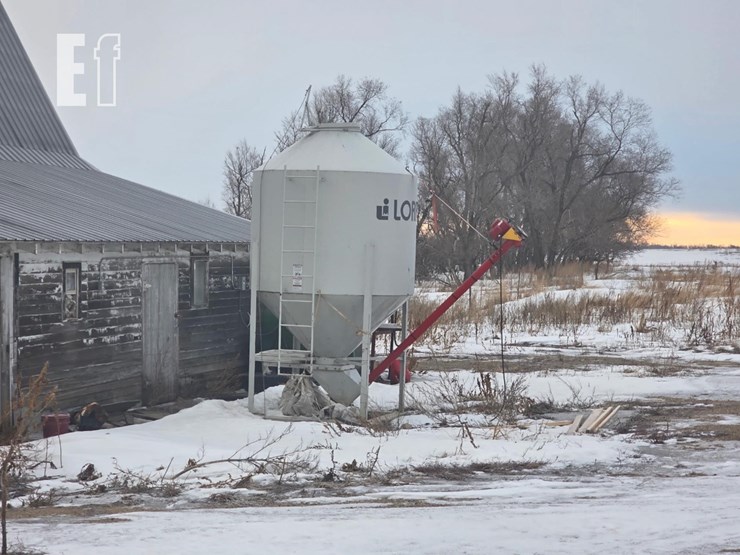 lorrich-hopper-bin-w/-4"-auger-image-2