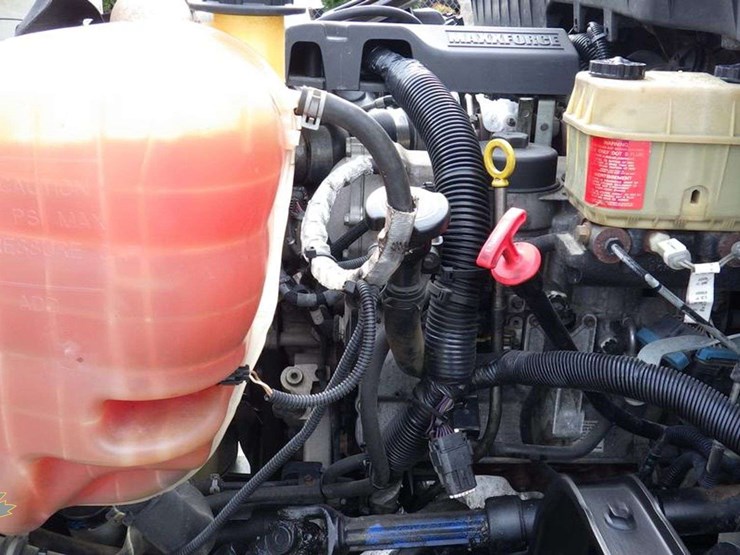 2012-international-terrastar-image-23