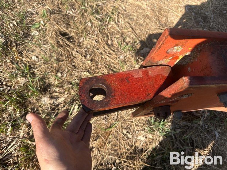 international-45-image-9