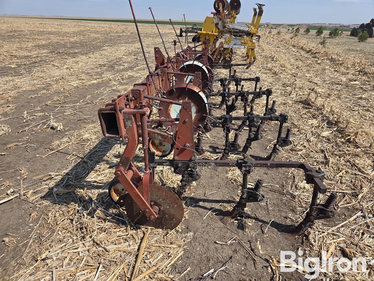 international-153-image-9