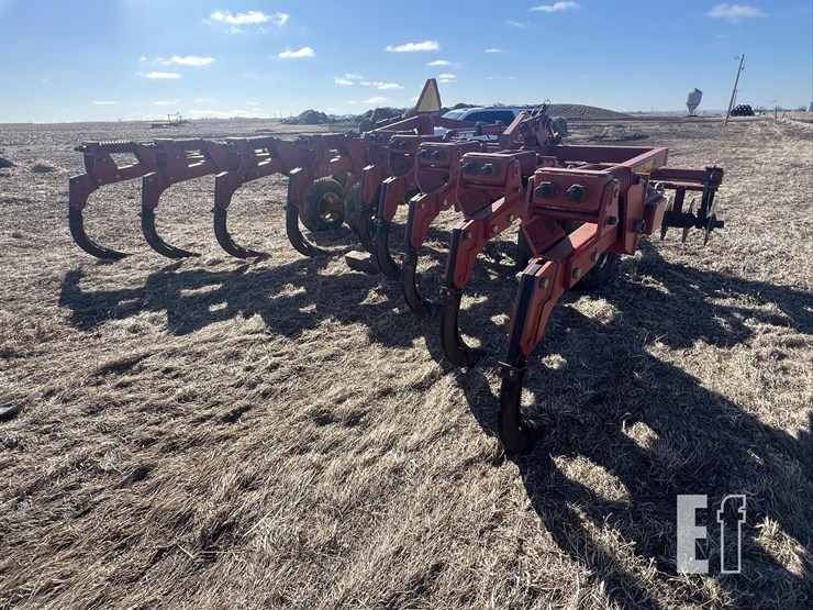 sunflower-4110-image-5