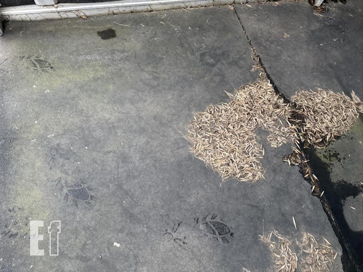 2001-featherlite-16-ft-image-32