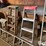ladders-&-step-stools-image-8