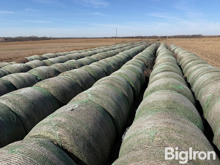 2024-oat-hay-image-10