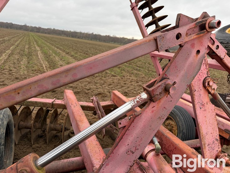 international-490-image-19