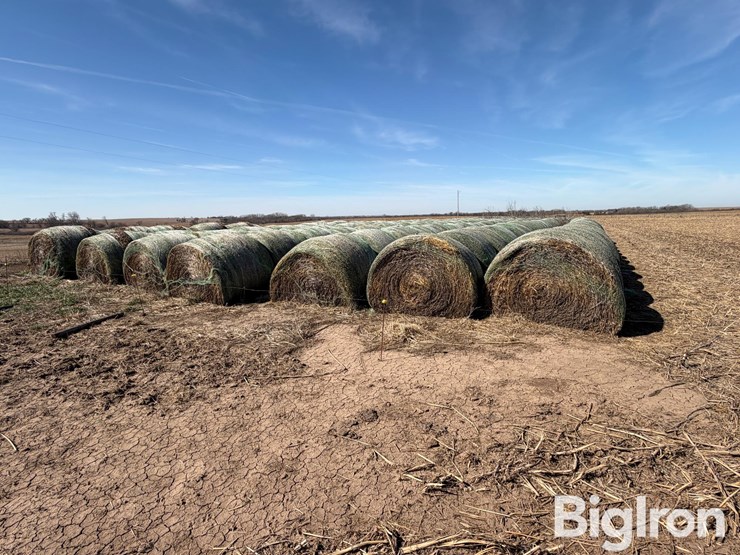 2024-oat-hay-image-2