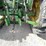 2010-john-deere-2010-image-19