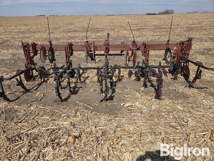 international-153-image-7