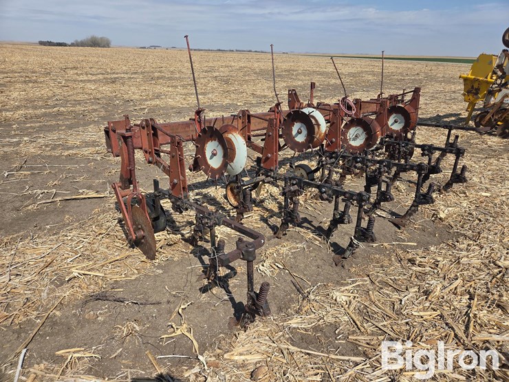 international-153-image-8