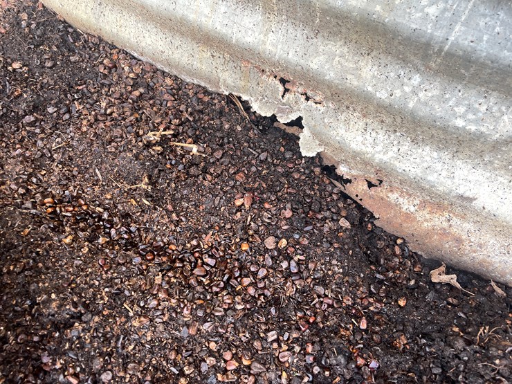 #106-•-butterbrand-grain-bin-(scandia,-mn)-image-11