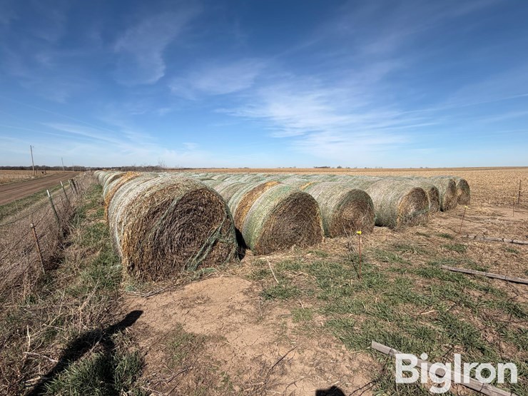 2024-oat-hay-image-3