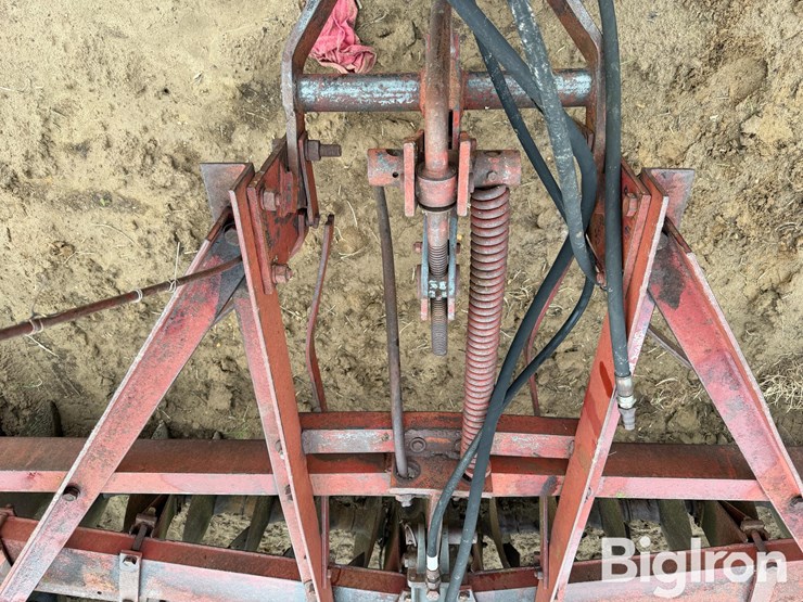 international-470-image-10