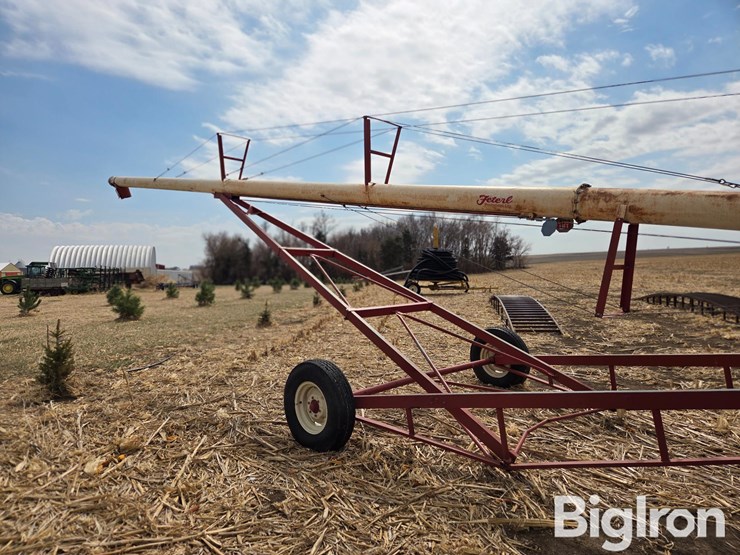 feterl-auger-image-6