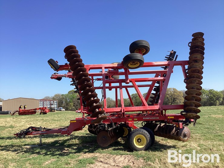 2014-sunflower-1435-image-8