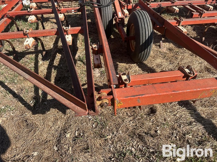 international-45-image-16