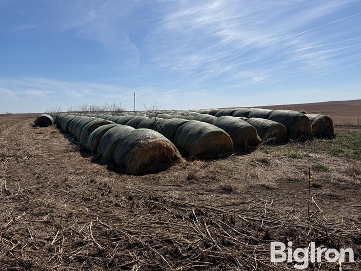 2024-oat-hay-image-7