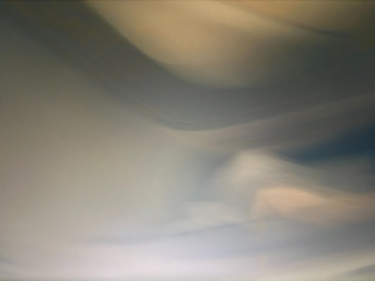 2014-international-prostar-image-91