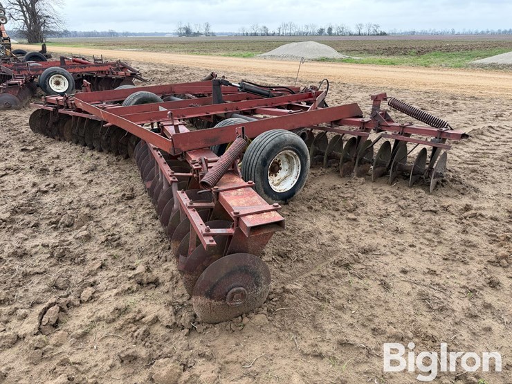 international-470-image-5