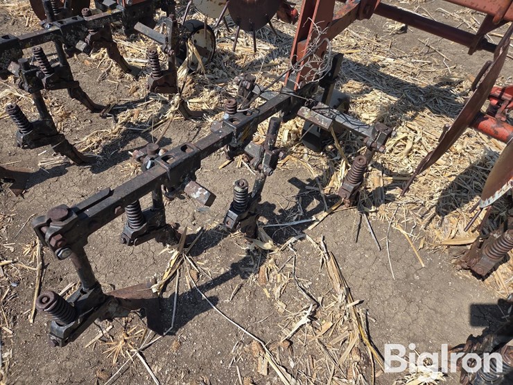 international-153-image-17