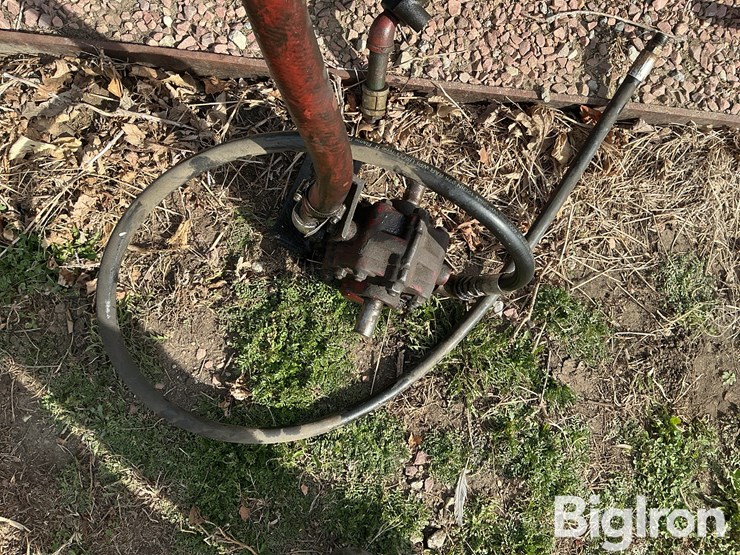 international-m-image-14