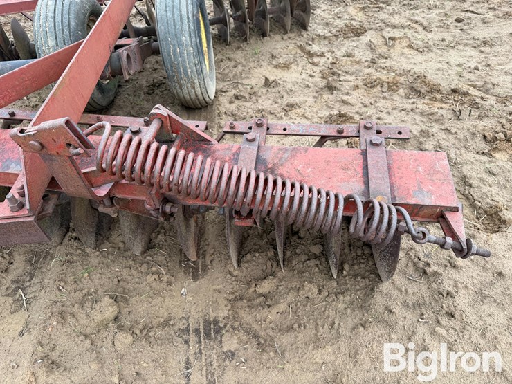 international-470-image-18