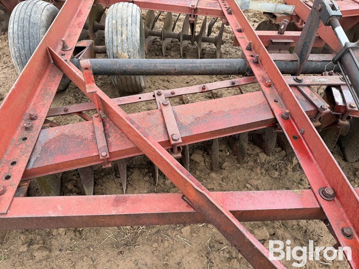 international-470-image-11