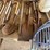 shovels-&-hand-tools-image-7
