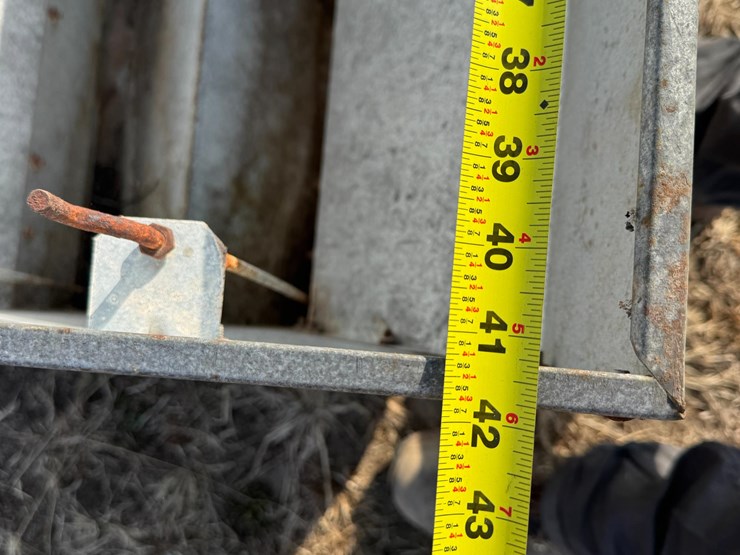 big-husky-pig-feeder-image-9