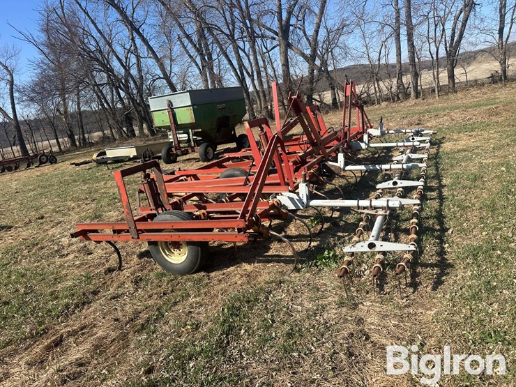 international-45-image-8