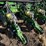 john-deere-1770-image-60