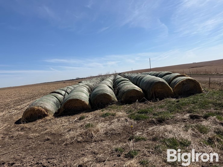 2024-oat-hay-image-6