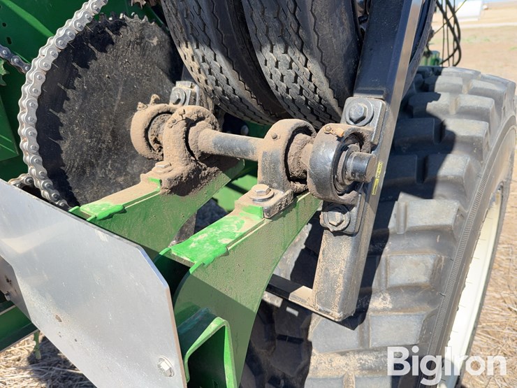 bbi-grasshopper-image-11