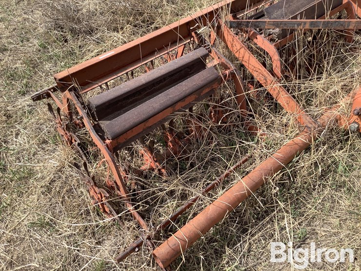 international-3-image-12