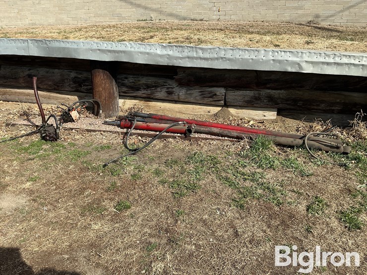 international-m-image-2