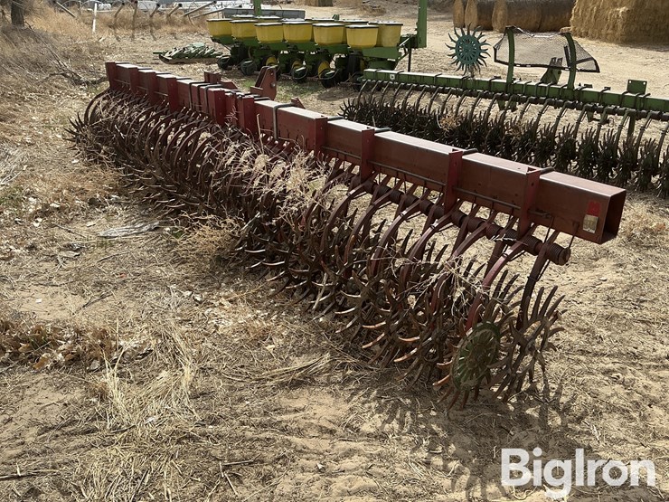 international-181-image-5