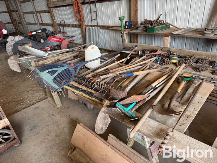 shovels-&-hand-tools-image-3