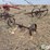 antique-farm-equipment-image-6