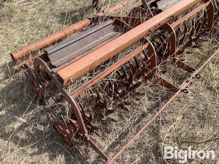 international-3-image-16