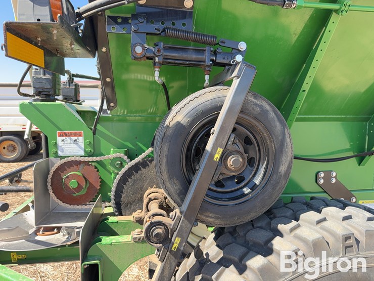 bbi-grasshopper-image-9