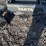 #4031-•-yakta-yxr-320-zero-turn-mower-image-4