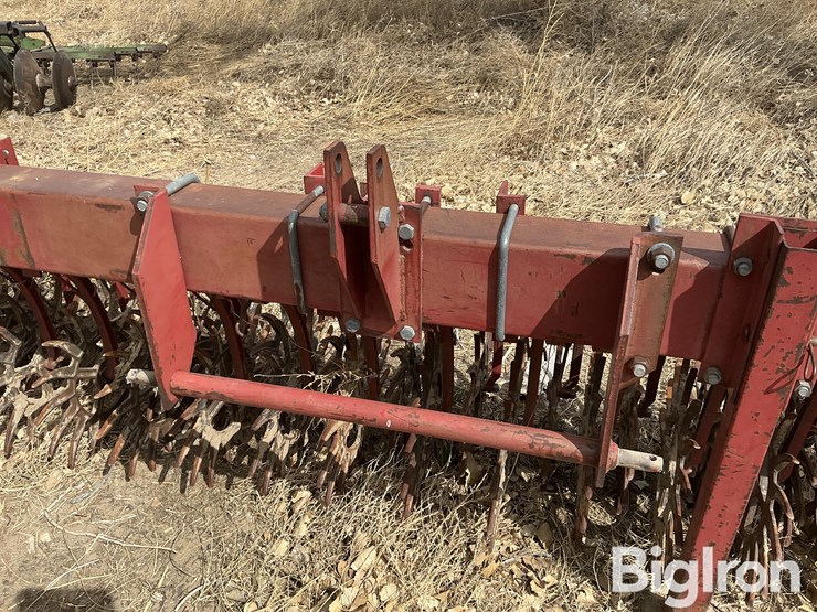 international-181-image-10