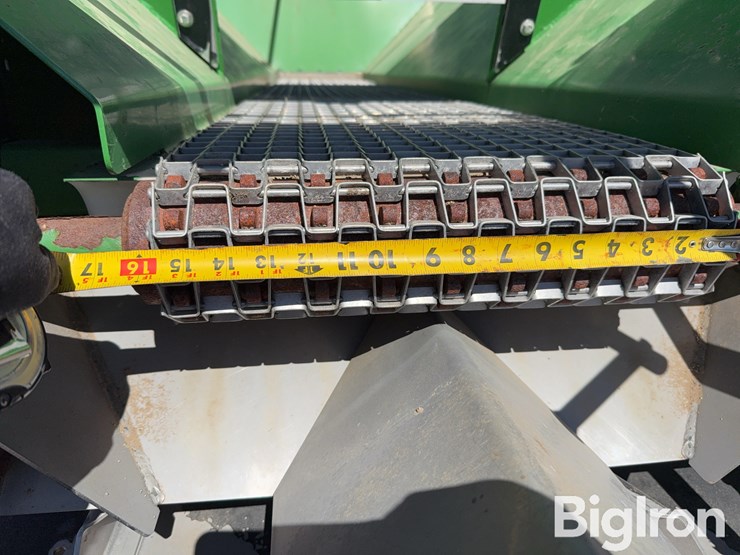 bbi-grasshopper-image-14