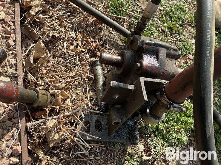 international-m-image-17