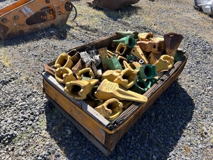 cat-bucket-teeth-image-3