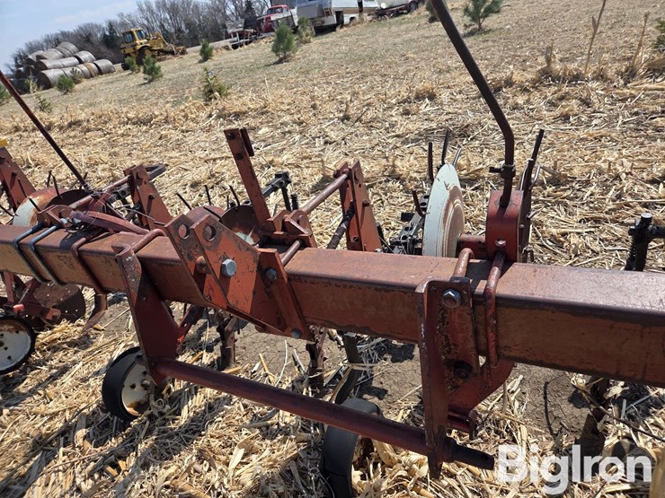 international-153-image-13