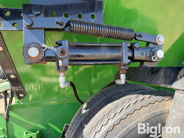 bbi-grasshopper-image-10