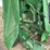 john-deere-567-image-14