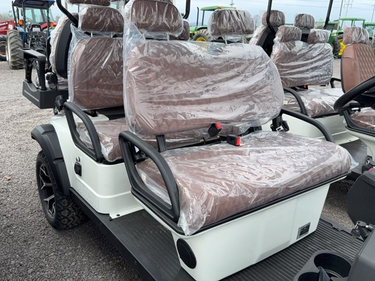 #3098-•-2026-sdlgc100-electric-golf-cart-image-4