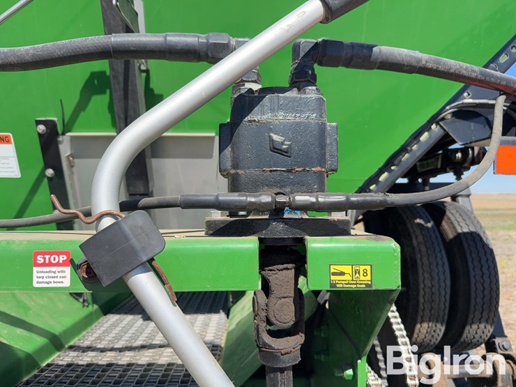 bbi-grasshopper-image-15